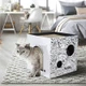 Kotak Cakar Kucing